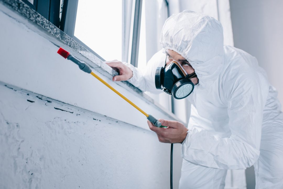 pest-control-worker-spraying-pesticides-under-windowsill-at-home.jpg