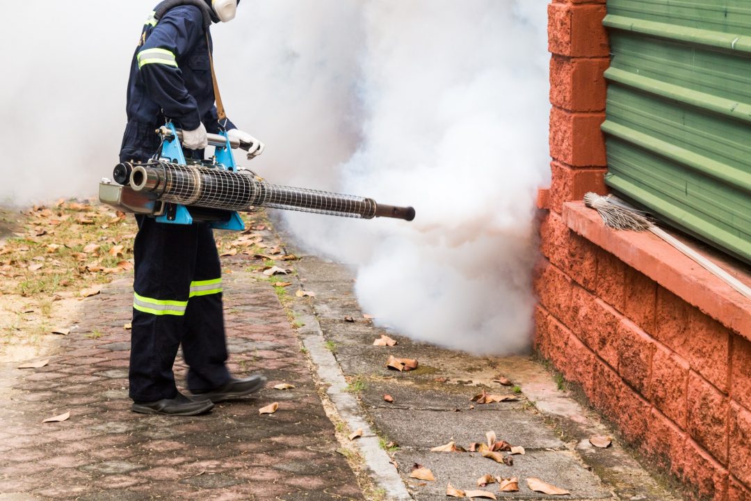 worker-fogging-residential-area-with-insecticides-to-kill-aedes.jpg